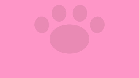 Popup-paw-Transitions.-1080p---30-fps---Alpha-Channel-(6)